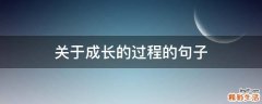 关于成长的过程的句子
