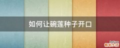 如何让碗莲种子开口