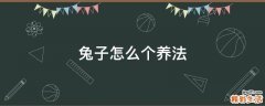 兔子怎么个养法