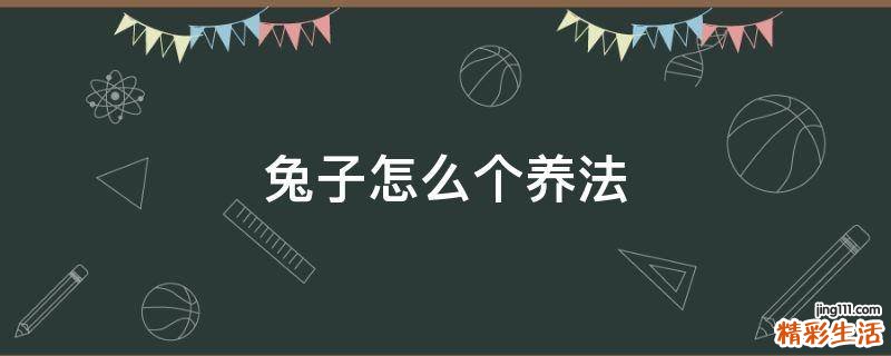 兔子怎么个养法