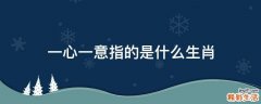 一心一意指的是什么生肖