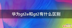 华为gt2e和gt2有什么区别