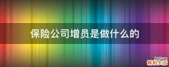 保险公司增员是做什么的