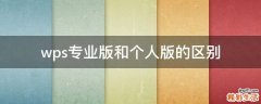 wps专业版和个人版的区别