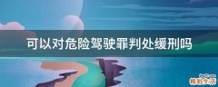 可以对危险驾驶罪判处缓刑吗