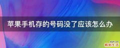 苹果手机存的号码没了应该怎么办