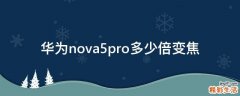 华为nova5pro多少倍变焦