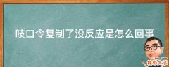 吱口令复制了没反应是怎么回事