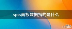 spss面板数据指的是什么