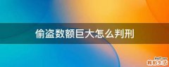 偷盗数额巨大怎么判刑