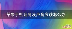 苹果手机话筒没声音应该怎么办