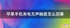 苹果手机来电无声响是怎么回事