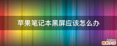 苹果笔记本黑屏应该怎么办