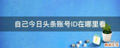 自己今日头条账号ID在哪里看