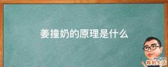 姜撞奶的原理是什么
