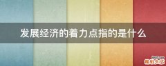 发展经济的着力点指的是什么
