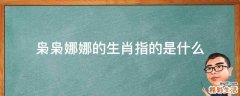 枭枭娜娜的生肖指的是什么