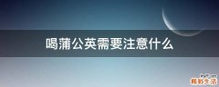 喝蒲公英需要注意什么