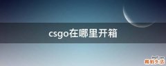 csgo在哪里开箱