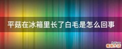 平菇在冰箱里长了白毛是怎么回事