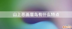山上恶画眉鸟有什么特点