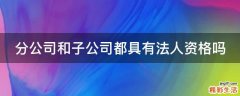 分公司和子公司都具有法人资格吗