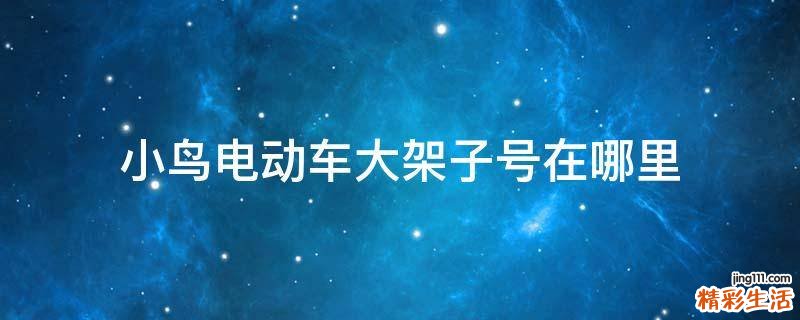 小鸟电动车大架子号在哪里