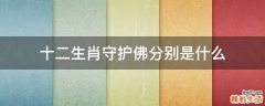 十二生肖守护佛分别是什么