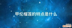 甲伦榴莲的特点是什么
