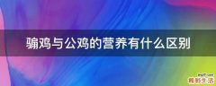 骟鸡与公鸡的营养有什么区别