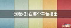 刘老根3在哪个平台播出
