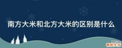 南方大米和北方大米的区别是什么