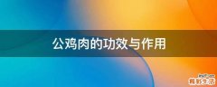 公鸡肉的功效与作用
