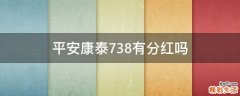 平安康泰738有分红吗