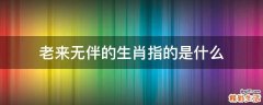 老来无伴的生肖指的是什么