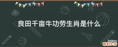 良田千亩牛功劳生肖是什么