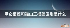 甲仑榴莲和猫山王榴莲区别是什么