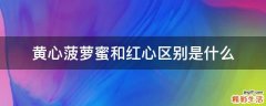 黄心菠萝蜜和红心区别是什么