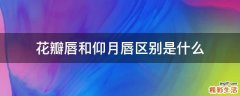 花瓣唇和仰月唇区别是什么