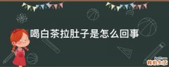 喝白茶拉肚子是怎么回事