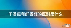 干香菇和鲜香菇的区别是什么