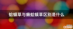 蛤蟆草与癞蛤蟆草区别是什么