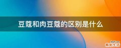 豆蔻和肉豆蔻的区别是什么