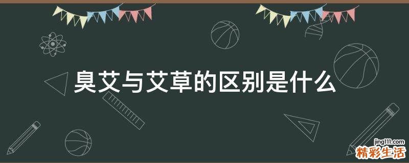 臭艾与艾草的区别是什么
