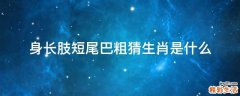 身长肢短尾巴粗猜生肖是什么
