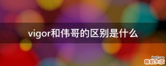 vigor和伟哥的区别是什么