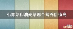小青菜和油麦菜哪个营养价值高
