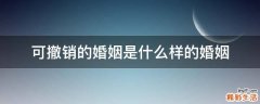 可撤销的婚姻是什么样的婚姻