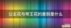 公主花与帝王花的差别是什么