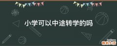 小学可以中途转学的吗